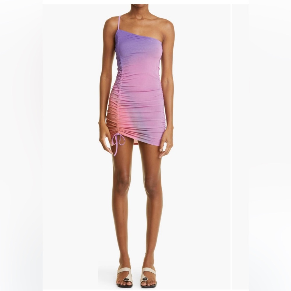 NWT Paloma Wool Valie Gradient Print Ruched Minidress